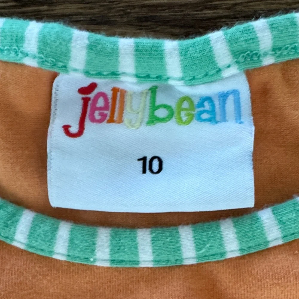Jelly Beans Orange & Mint Turtle Applique Kids Matching Set girls 10